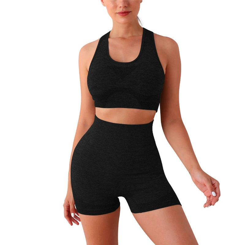 2PCS Seamless Women Yoga Set Workout Sportswear